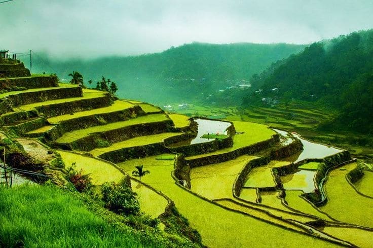 Banaue Rice Terraces and Village Tour