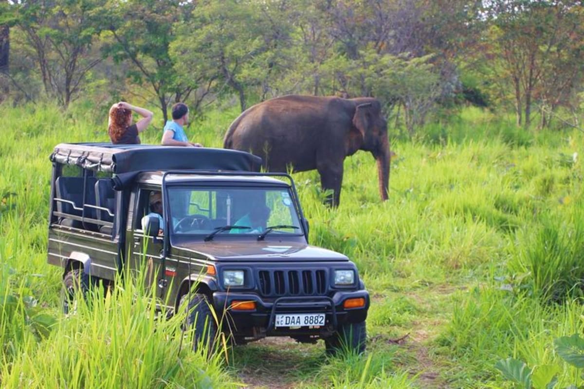 Safari jeep with tourists observing wild elephant in grassland during guided wildlife tour at Hurulu Eco Park