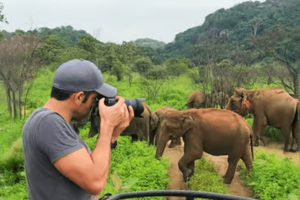 Photographer capturing images of wild elephants in lush jungle landscape at Hurulu Eco Park