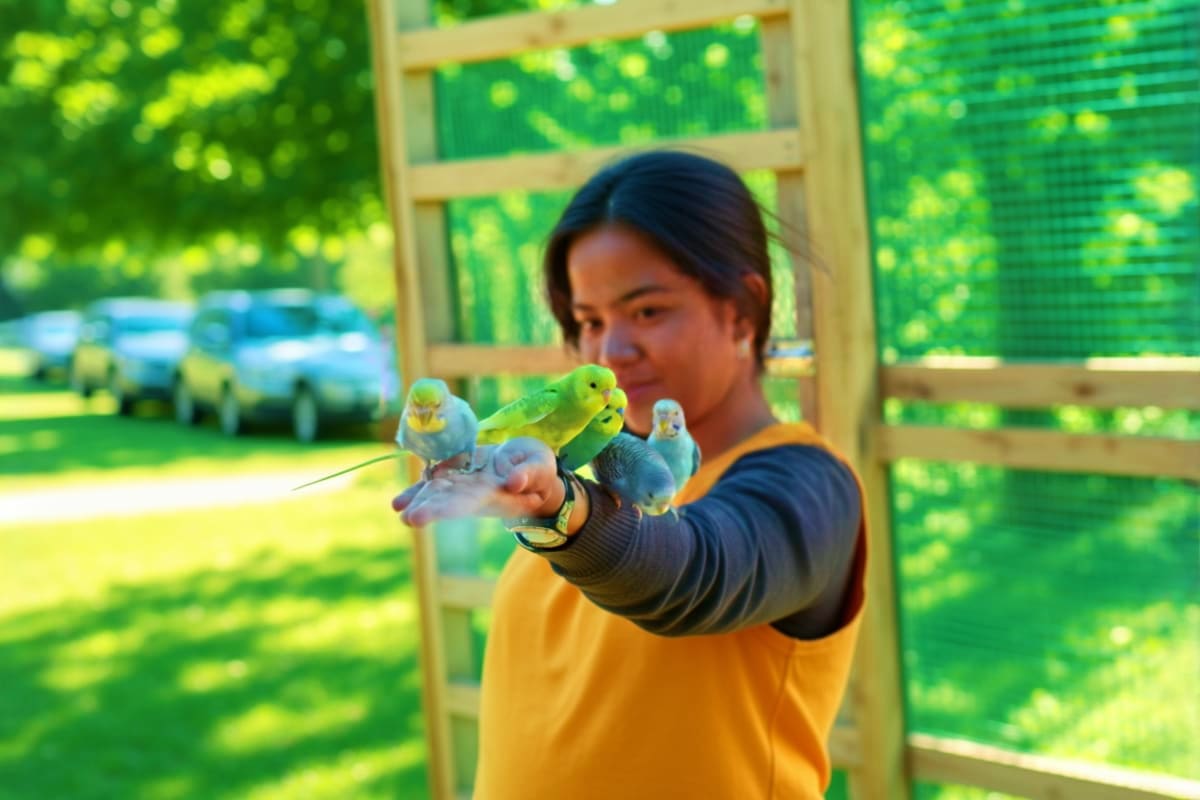 Zoori at Residence Inn Girl holding four colorful parakeets on her arm in a garden aviary at Zoori at Residence Inn