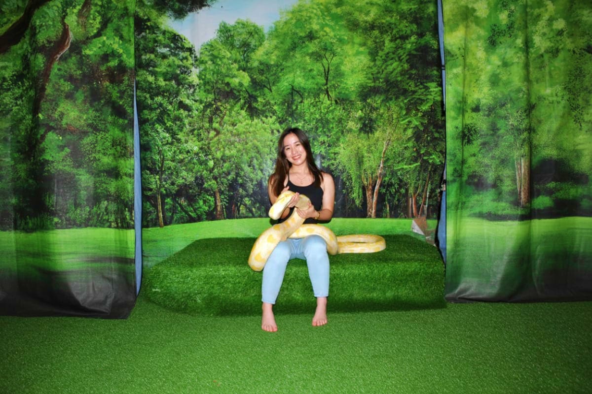 Zoori at Residence Inn Woman holding a large yellow python snake while sitting on artificial grass in an indoor zoo exhibit with forest backdrop