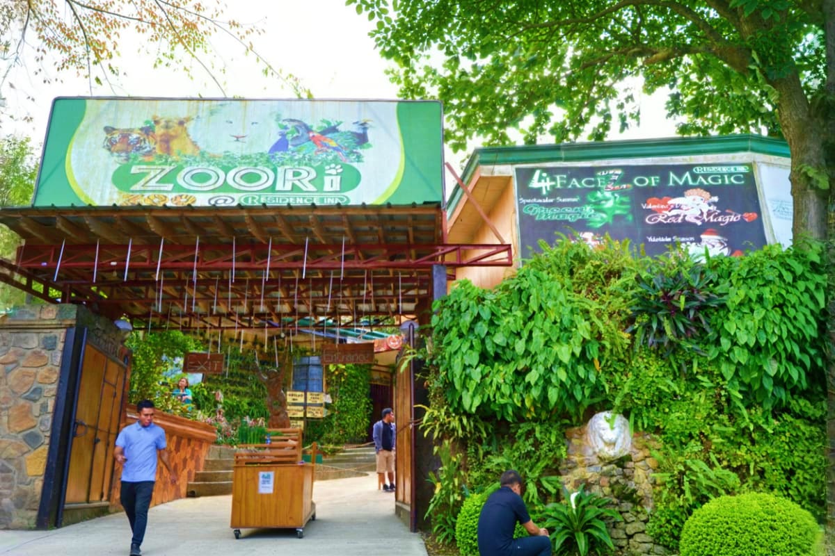 Zoori at Residence Inn Entrance to Zoori zoo attraction with green signage, ivy-covered walls, and visitors walking through the wooden gate structur