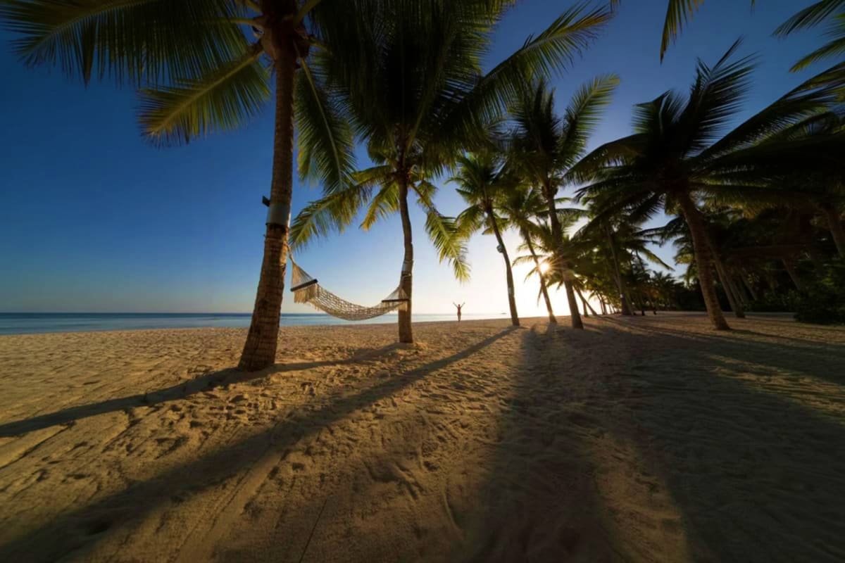 Hammock strung between palm trees on sandy beach at Oceanica Resort Panglao with calm ocean and clear sky