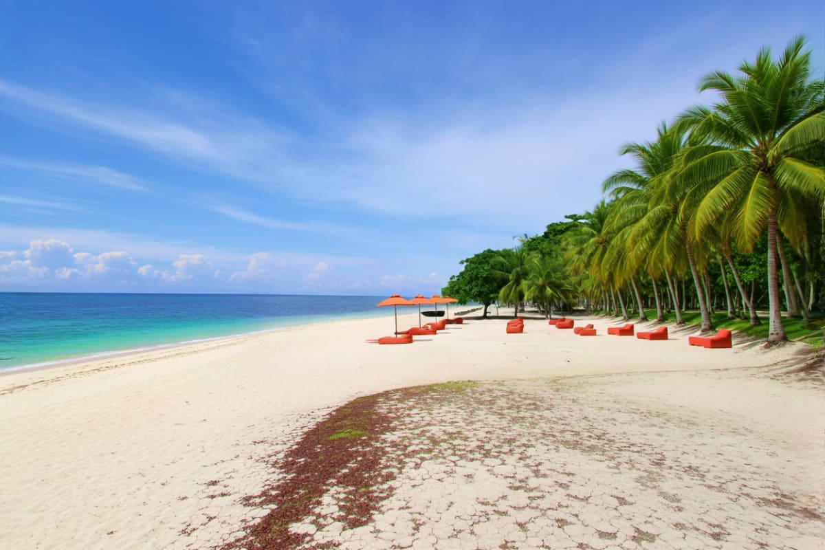 Tropical beach with white sand, turquoise water, palm trees, and red umbrellas and loungers at Oceanica Resort Panglao