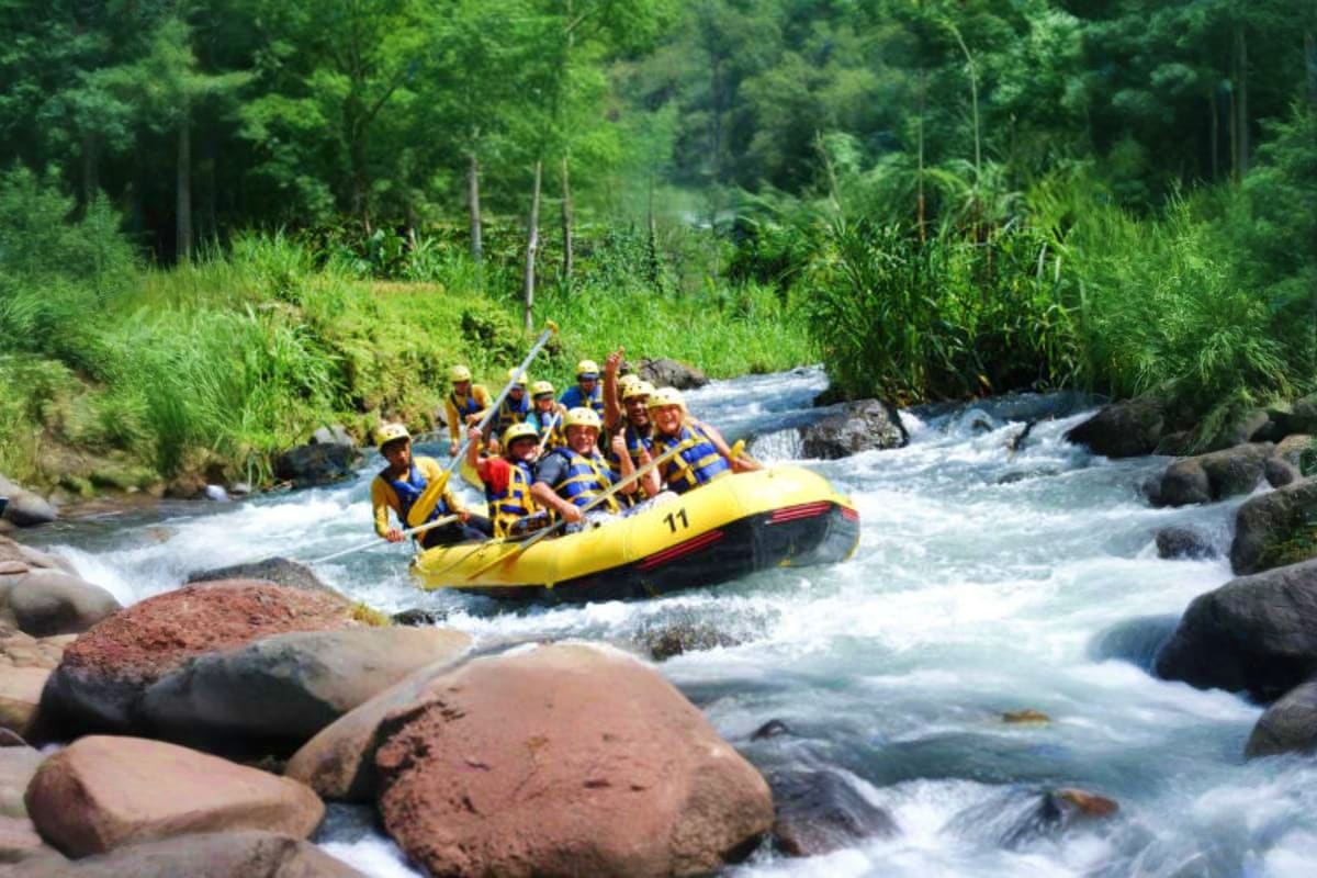 Group of people white water rafting in yellow raft on turbulent river surrounded by rocks and dense forest vegetation