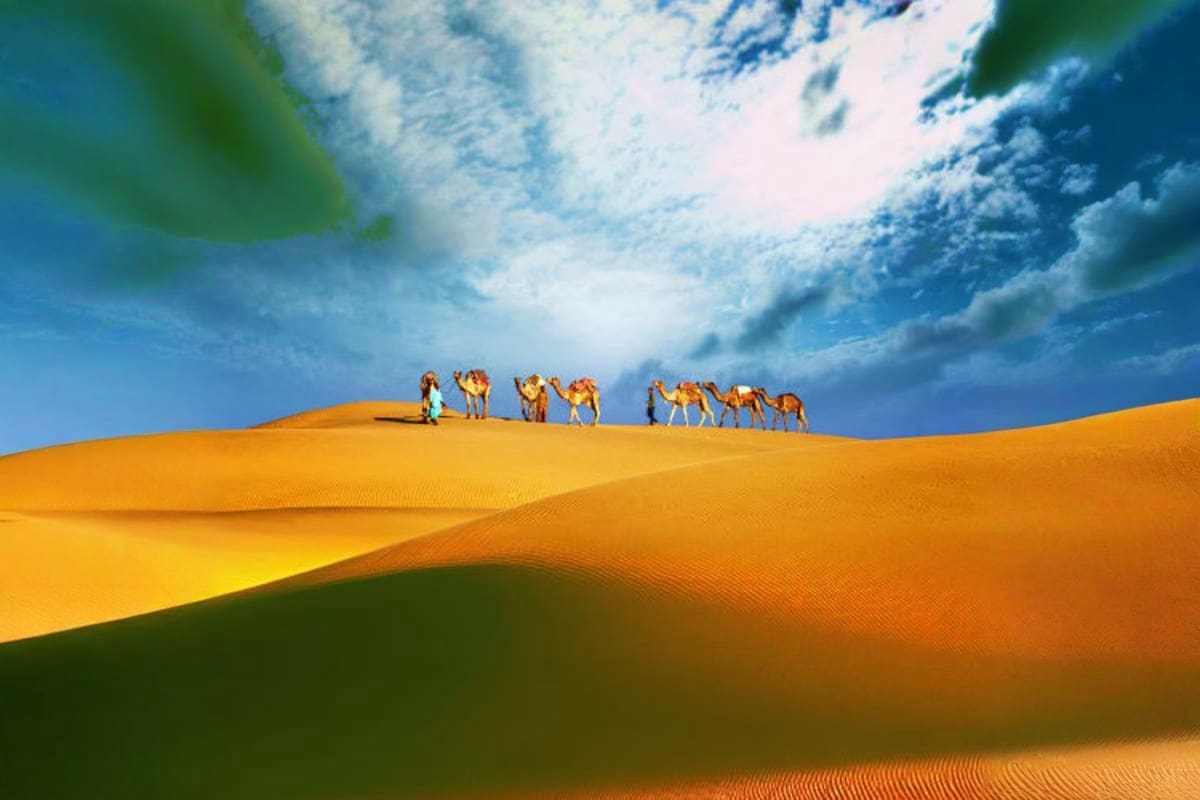 Camel caravan with guide traversing golden sand dunes under blue sky with white clouds