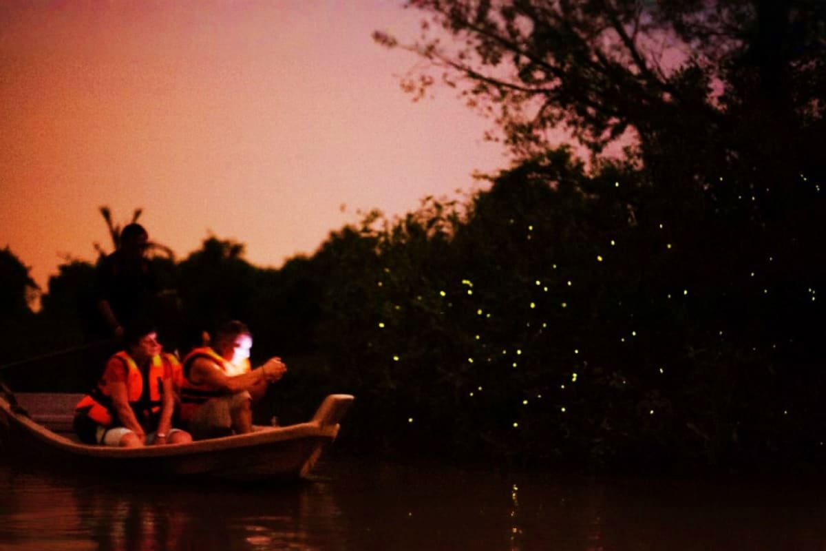 People in a boat on a river at dusk watching fireflies glowing in the trees during a nighttime nature tour
