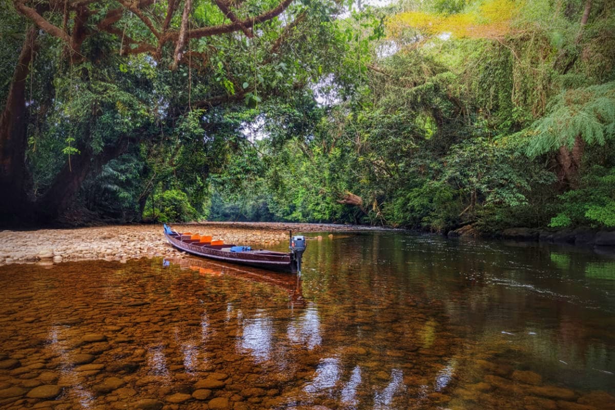 Wooden boat moored in shallow river surrounded by dense rainforest canopy in Taman Negara National Park