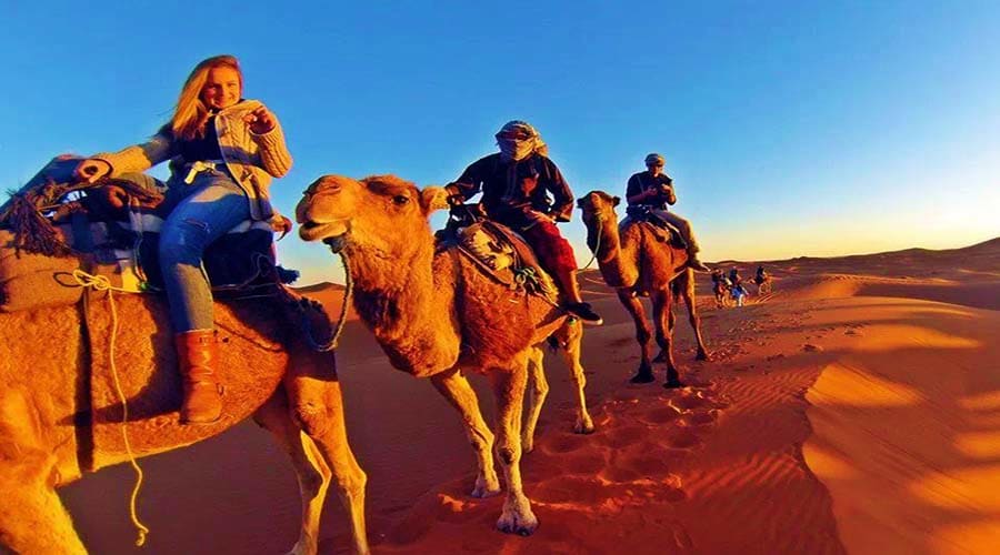 Camel Riding Ras Al Khaimah camel ride