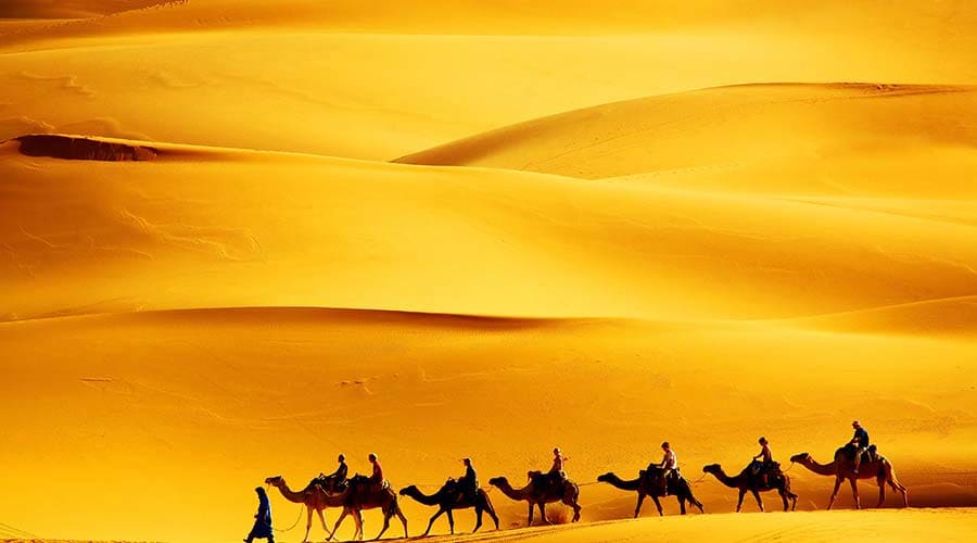 Camel Riding Ras Al Khaimah camel riding