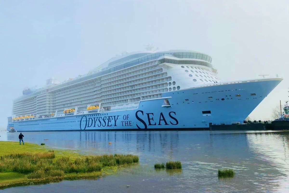 Odyssey of the Seas cruise ship docked in calm waterway with green marshland in foreground