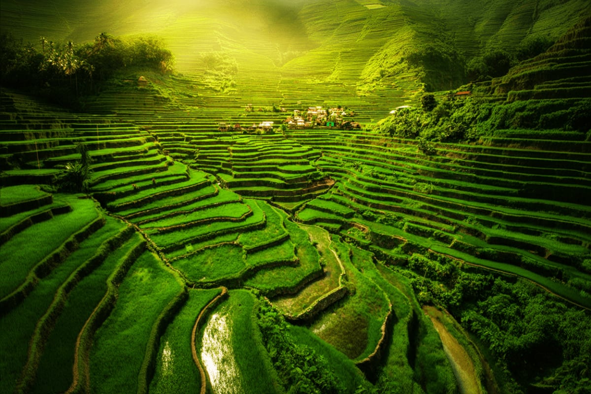 11 Days Philippines Heritage and Island Escape with Manila, Banaue Rice Terraces and Boracay Tour Aerial view of lush green Banaue Rice Terraces in the Philippines showing stepped agricultural fields carved into mountainous