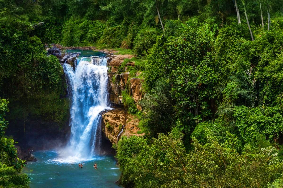Waterfall cascading into turquoise pool surrounded by lush tropical forest with swimmers in the water below