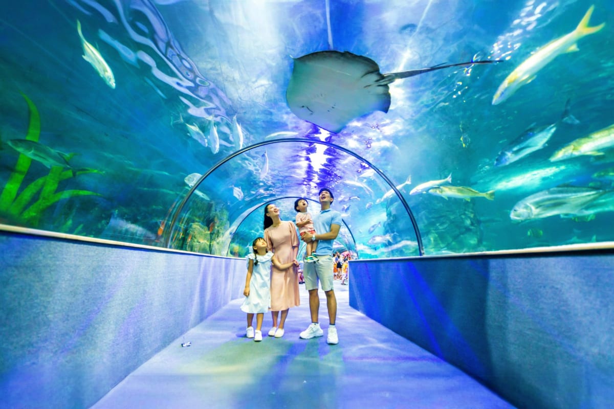Family viewing marine life in underwater tunnel at Vin Pearl Aquarium with manta ray and tropical fish swimming overhead