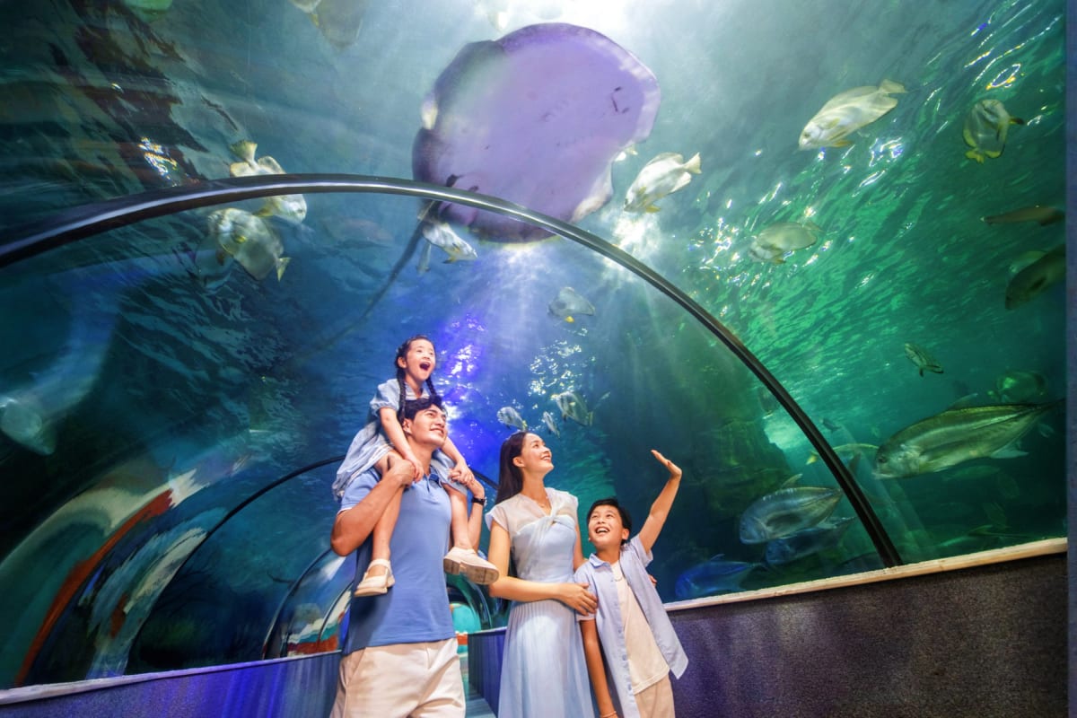 Family viewing manta ray and tropical fish through curved glass tunnel in underwater aquarium exhibit