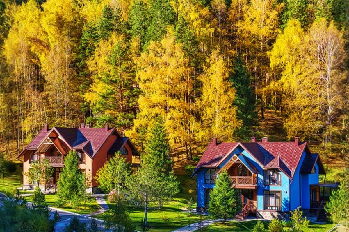 Modern residential cottages with red roofs nestled among golden autumn birch trees and evergreens in a forest setting