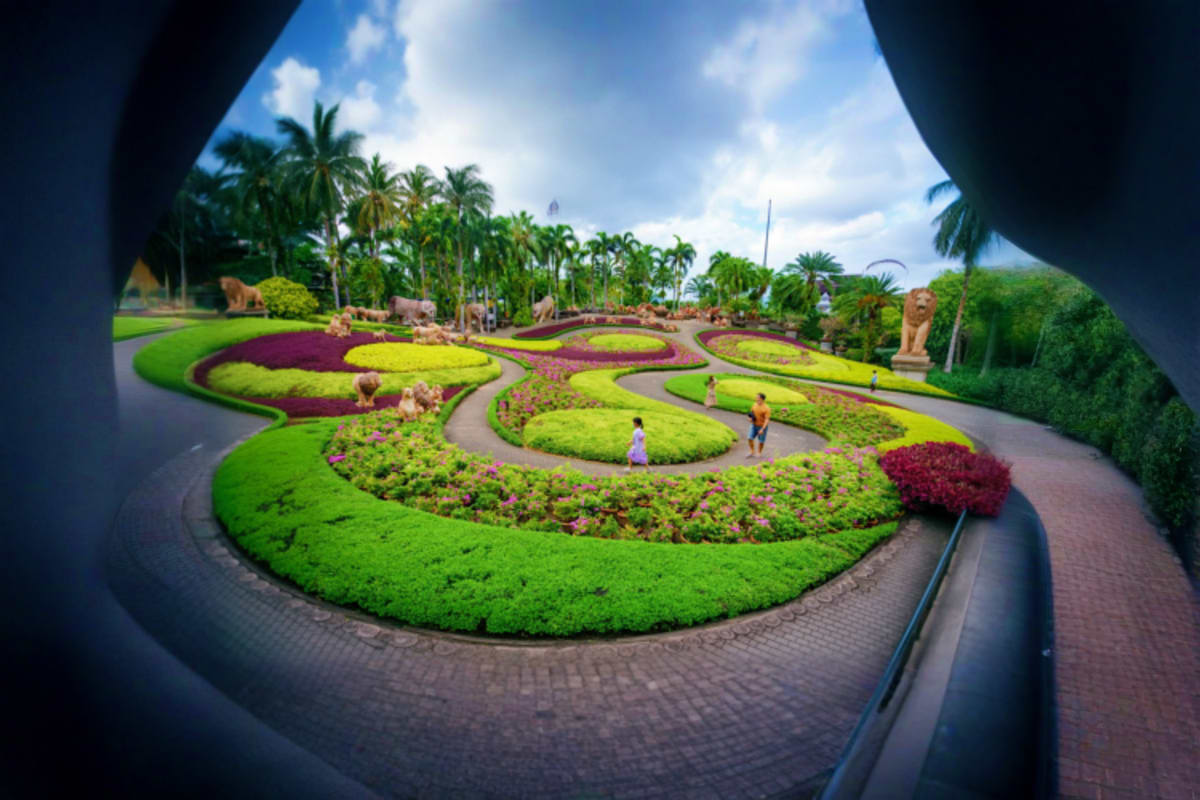 Aerial view of Nong Nooch Tropical Garden's colorful spiral topiary gardens with manicured green lawn, flowering plants, and 