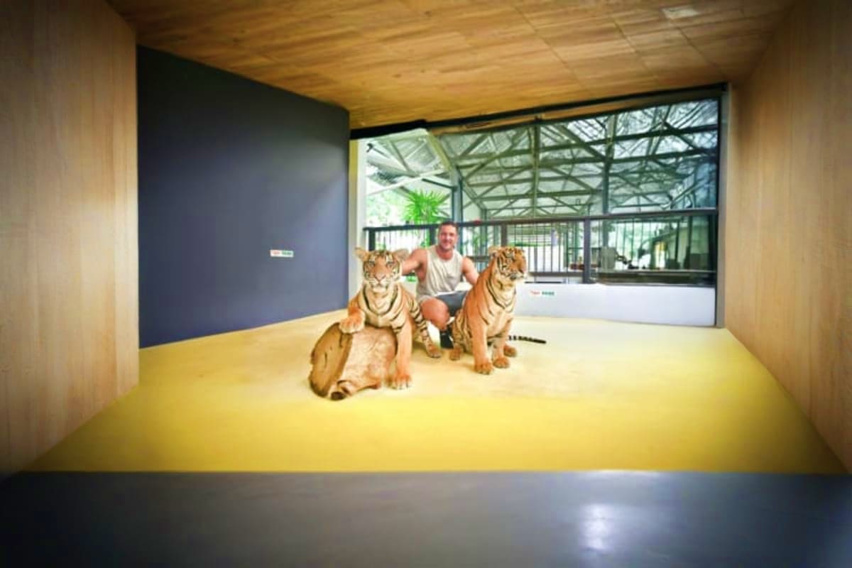 Man posing with two Bengal tigers on yellow floor inside modern glass enclosure at Tiger Park facility