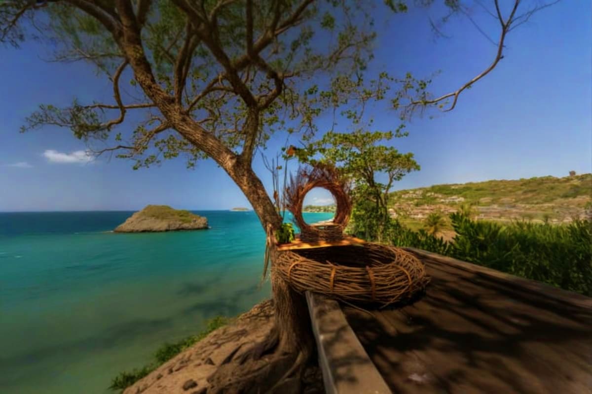 Rock Beach Swing Woven swing hanging from tree branch overlooking turquoise ocean waters and rocky coastline with island in distance