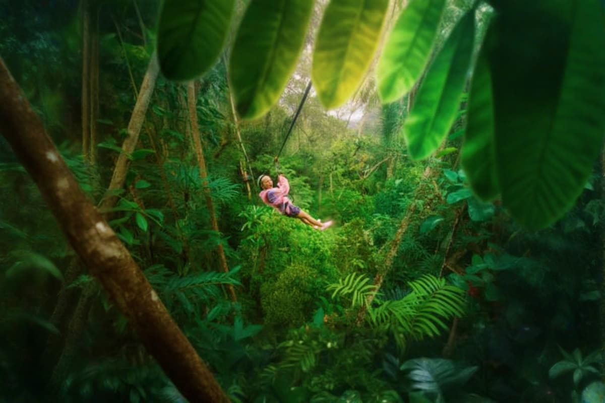Person ziplining through lush green rainforest canopy surrounded by dense vegetation and large leaves at Hanuman World