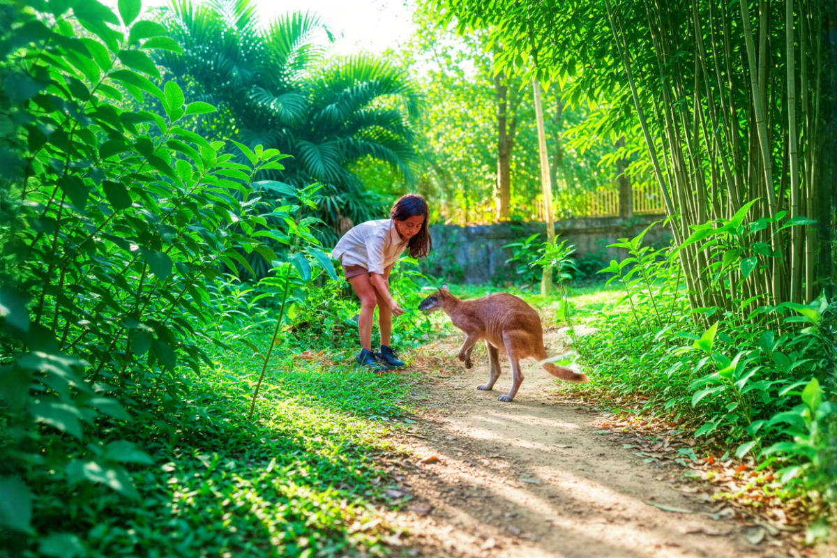 Bali Zoo Woman interacting with a deer on a tropical garden path lined with bamboo and palm trees at Bali Zoo