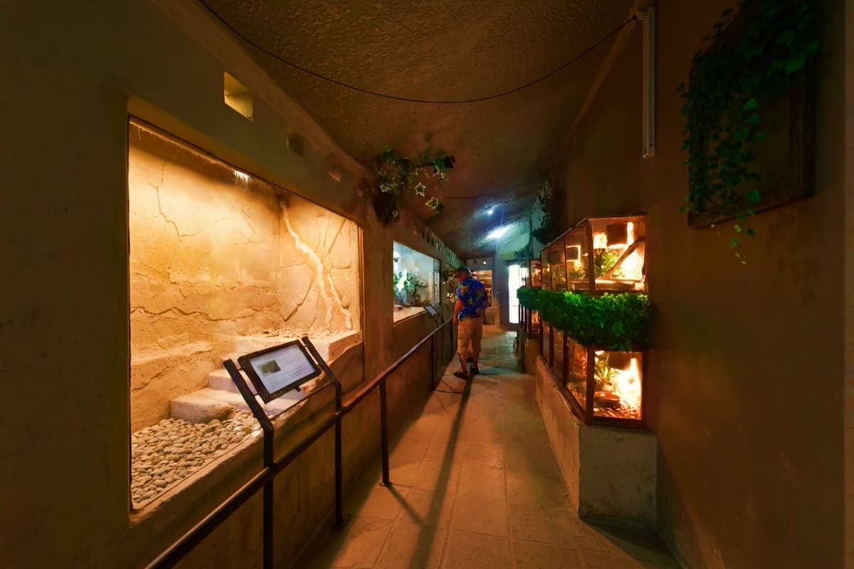 Night view of illuminated reptile enclosure displays along a covered walkway at Bali Reptile Park with visitor walking throug