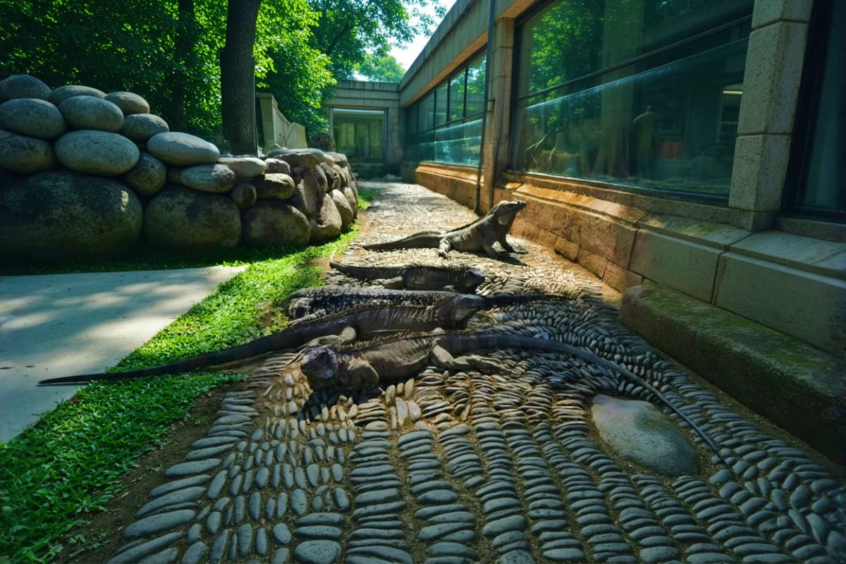 Crocodiles resting on ground near glass viewing enclosure at Bali Reptile Park with lush vegetation and stone features in bac