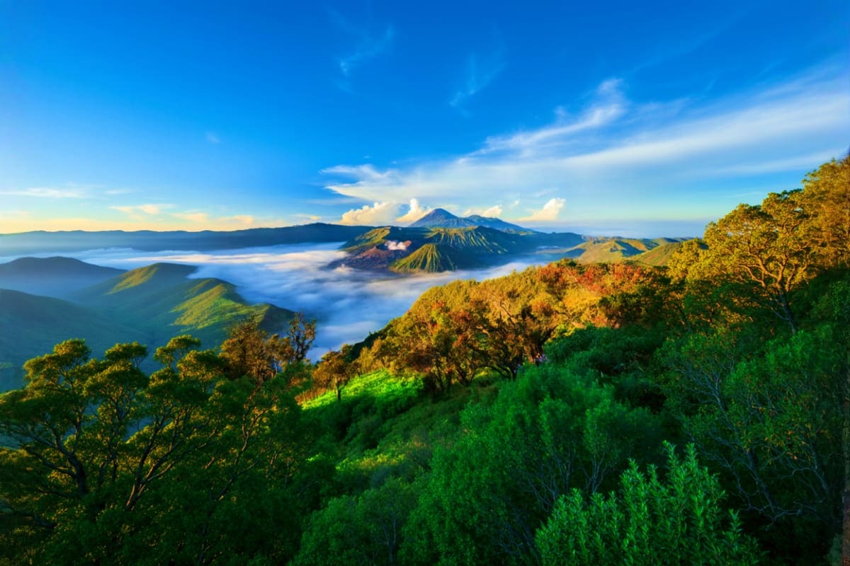 Aerial view of Mount Bromo volcano with sea of clouds at sunrise, surrounded by green forested hills and smaller volcanic pea