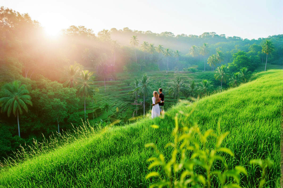 Couple in white dress standing in green rice terraces at sunrise with palm trees and misty mountains in background