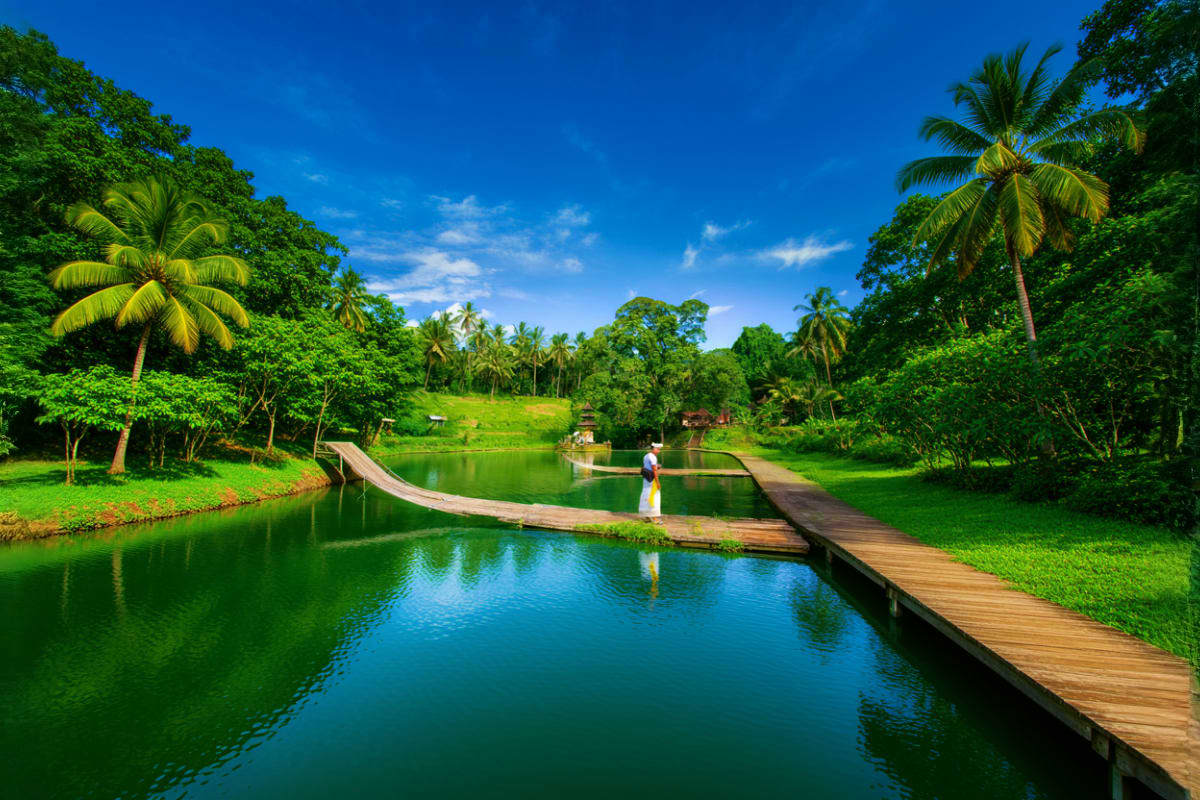 Person standing on wooden boardwalk over tropical river with lush green jungle, palm trees, and blue sky in Bali