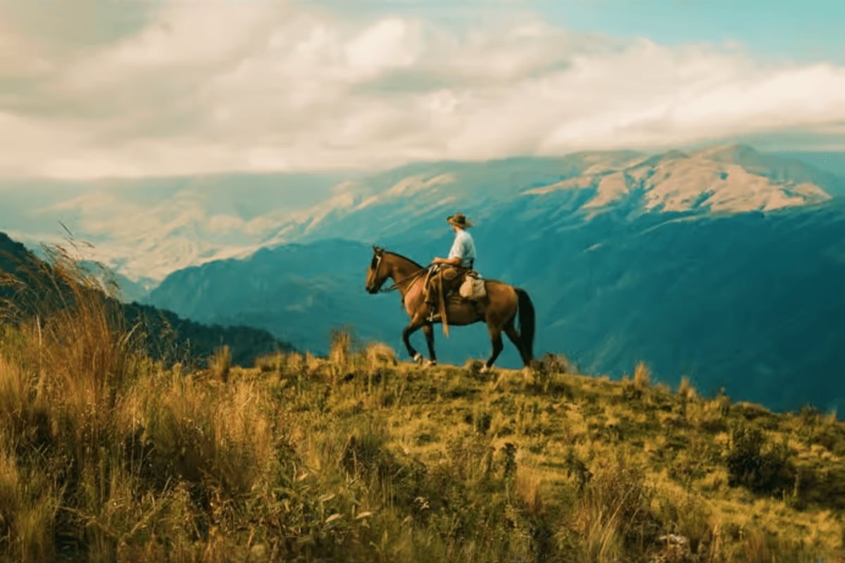 Cowboy riding brown horse through mountain meadow with snow-capped peaks and valley landscape in background