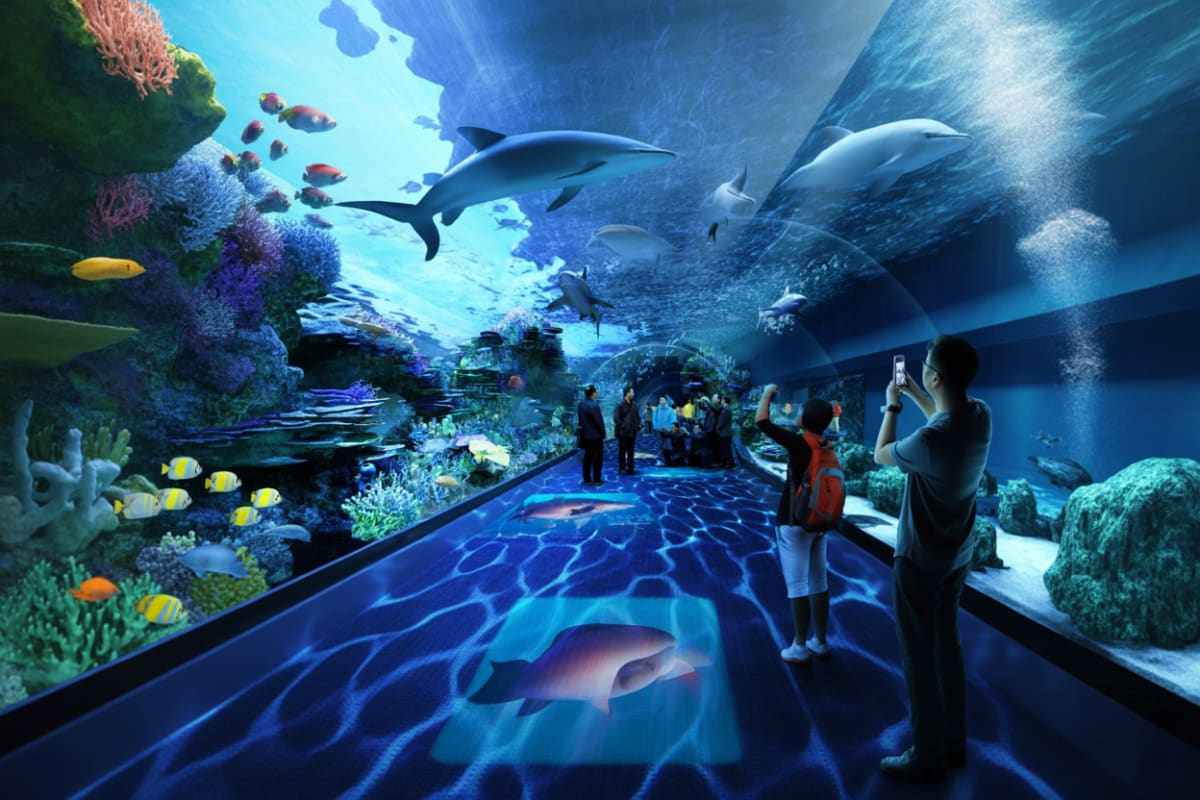 Visitors walking through underwater tunnel at Cebu Ocean Park with sharks, rays, and colorful tropical fish swimming overhead