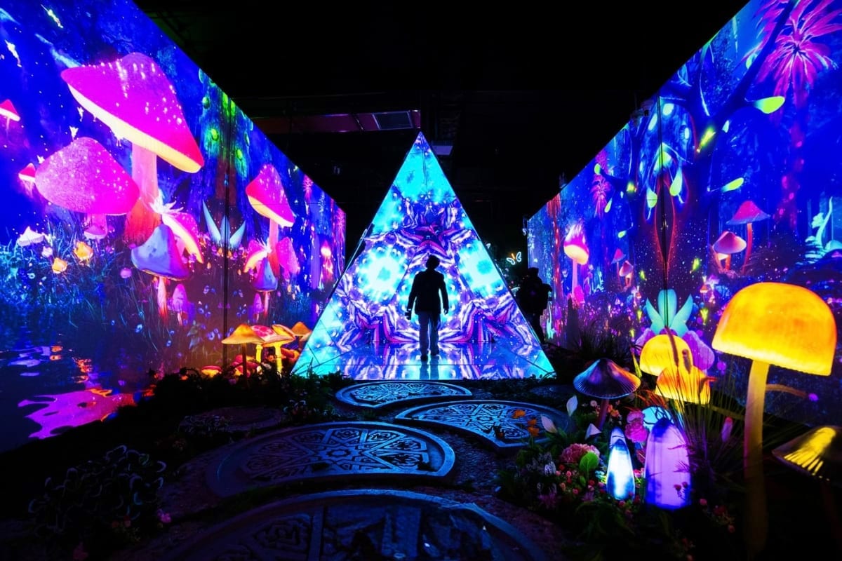 Immersive digital art installation with neon glowing mushrooms, jellyfish projections, and triangular light tunnel with silho