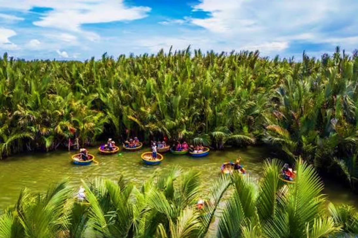 Tourists in round boats navigating through lush green coconut palm forest waterway in Hoi An, Vietnam