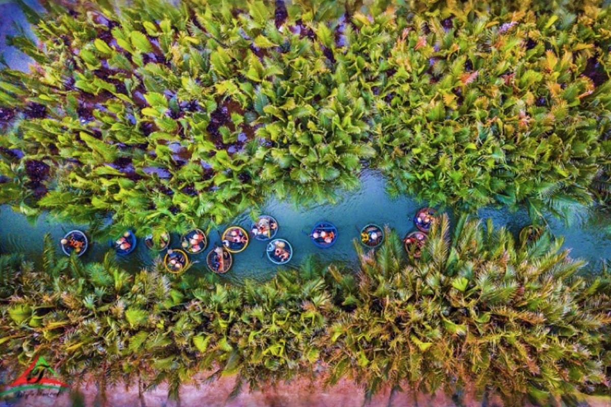 Aerial view of tourists in round boats navigating through dense green coconut palm forest and waterway in Hoi An, Vietnam