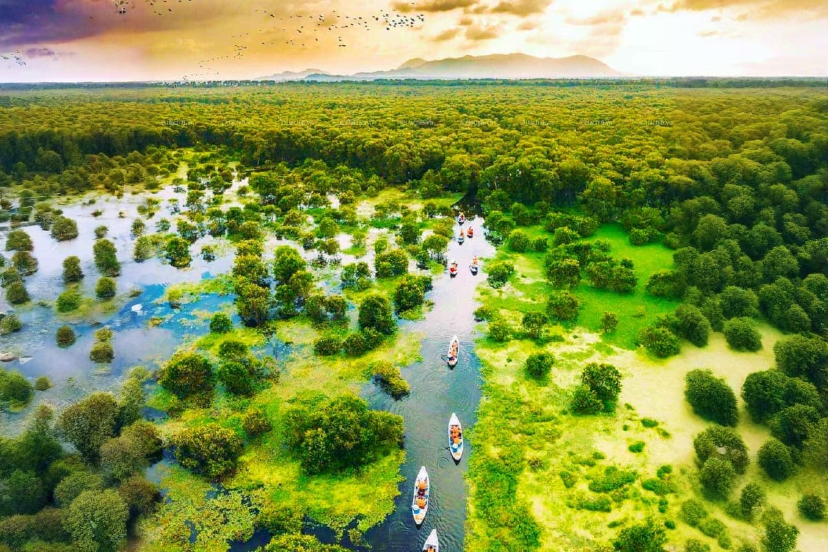 Aerial view of Mekong Delta with traditional boats navigating through flooded forests and lush green vegetation