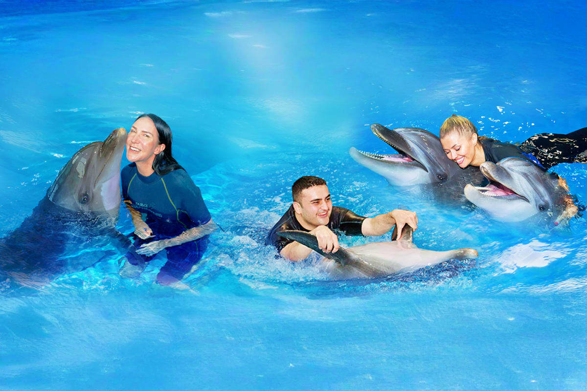 Dubai Dolphinarium Tickets Three people swimming and interacting with dolphins in a bright blue pool at Dubai Dolphinarium