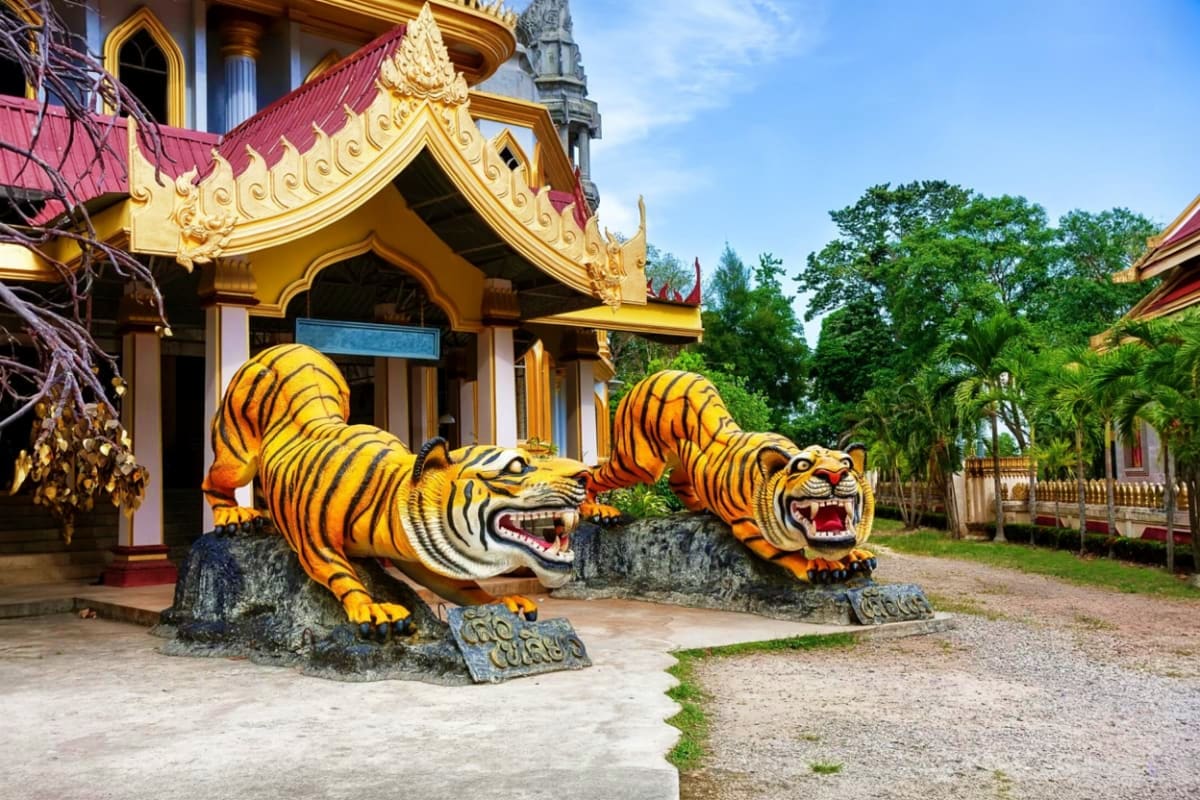 Enroute Krabi city tour to Phuket Ornate Buddhist temple with golden roof and carved tiger statues guarding the entrance, surrounded by tropical vegetation in