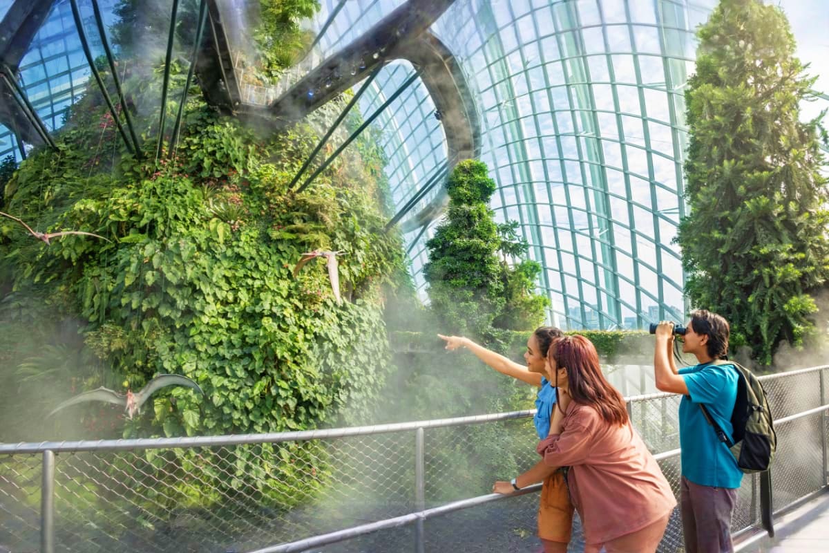Visitors taking photos inside the Cloud Forest conservatory with lush green vertical gardens and glass dome ceiling at Garden