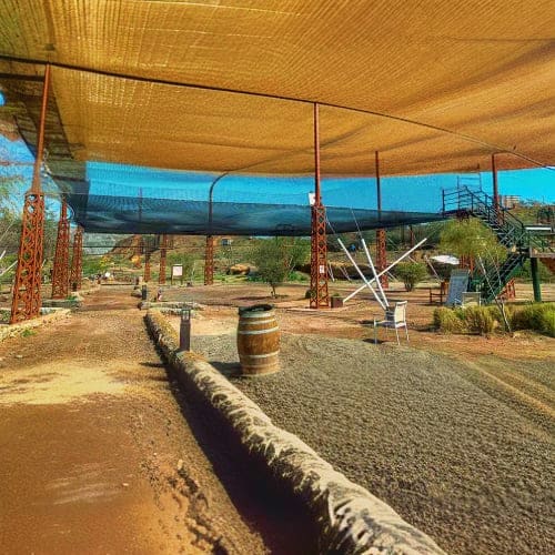 Rustic outdoor venue with wooden shade canopy, barrel prop, and desert landscape in Hatta Wadi area