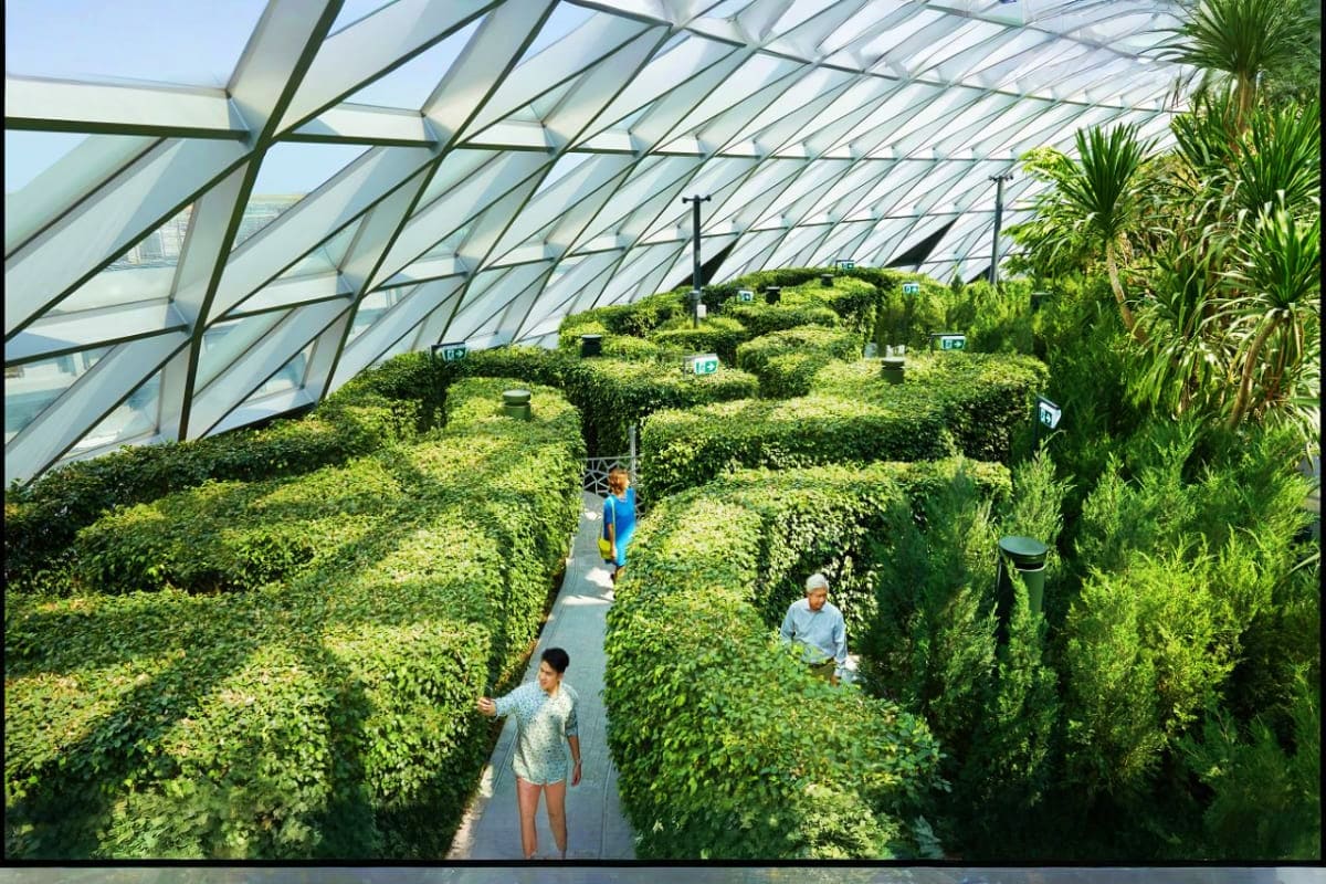 Indoor living plant maze at Jewel Changi Airport with visitors walking through green hedge corridors under geometric glass ce
