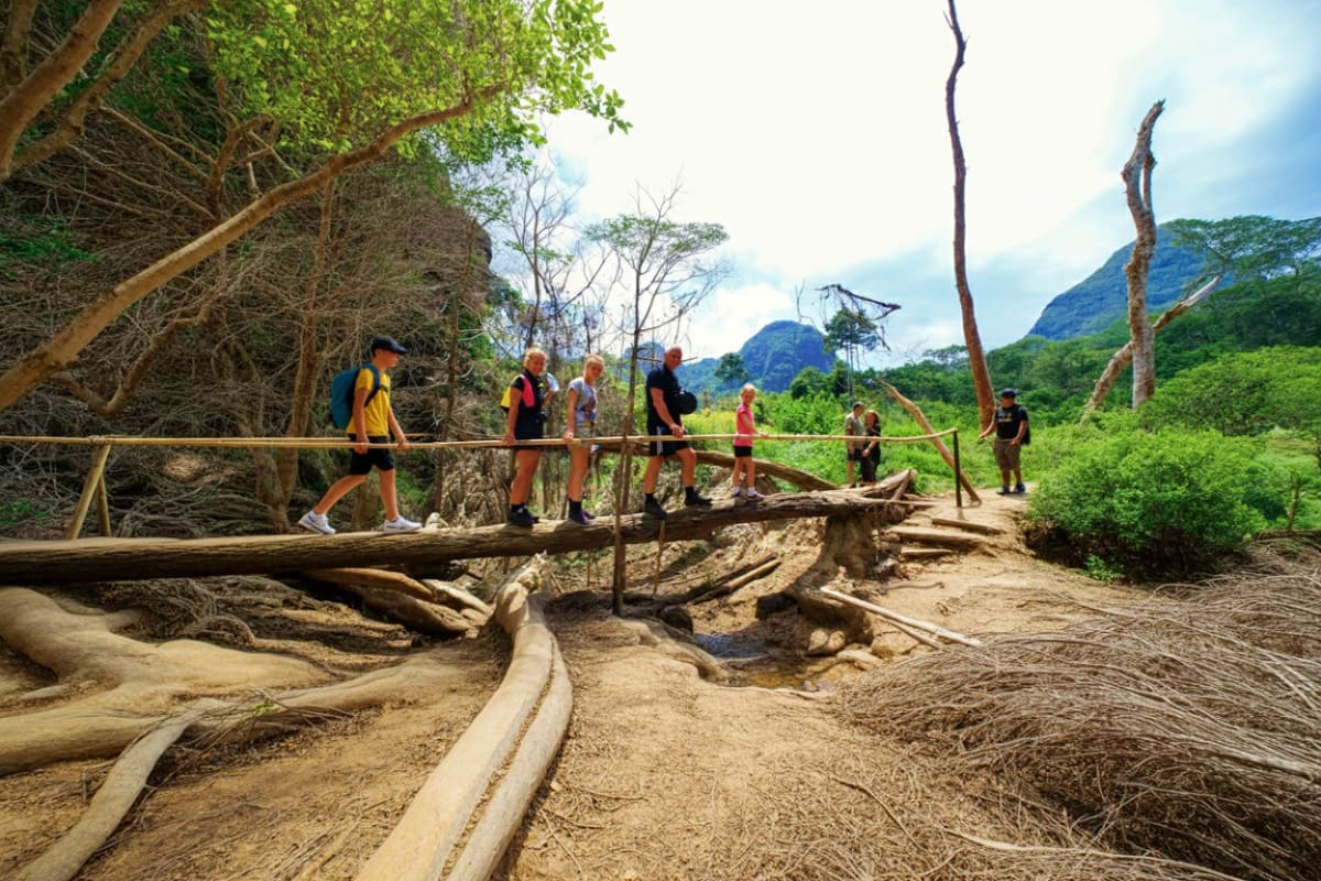 Group of hikers on wooden bridge crossing through jungle trail with limestone mountains in background, Krabi Thailand