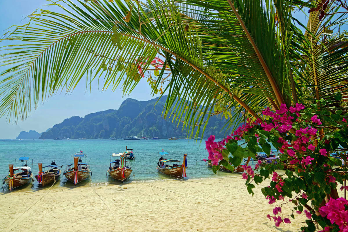 Krabi Island Tour from Phuket Traditional longtail boats moored on sandy beach with pink bougainvillea flowers, palm fronds, and limestone cliffs in Krabi