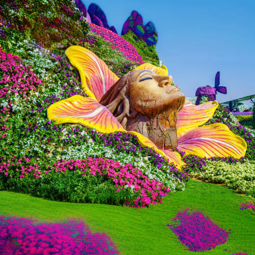 Large golden fairy sculpture with yellow and pink wings surrounded by vibrant magenta and white flowering plants at Miracle G