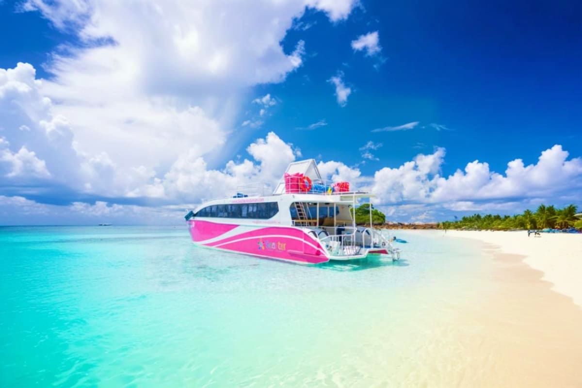 Pink and white catamaran moored in turquoise waters off a sandy beach with tropical palm trees and blue sky with clouds
