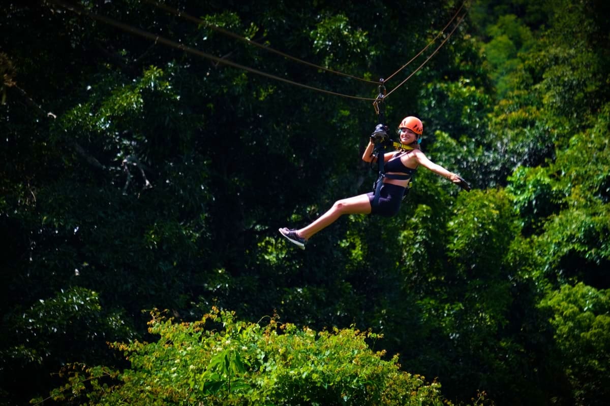 Tree Bridge Zipline Person ziplining through dense green forest canopy on Tree Bridge Zipline adventure tour