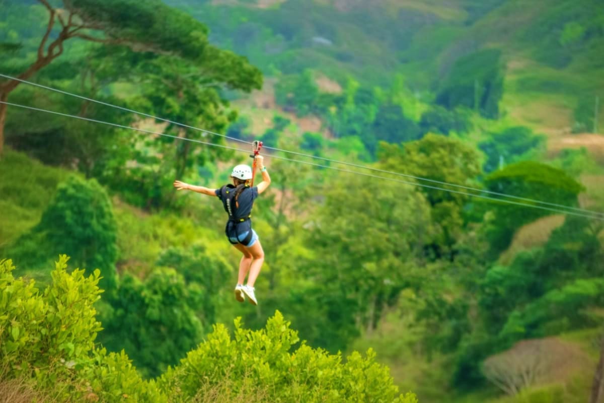 Tree Bridge Zipline Person ziplining on cables above lush green forested valley with trees and hills in background