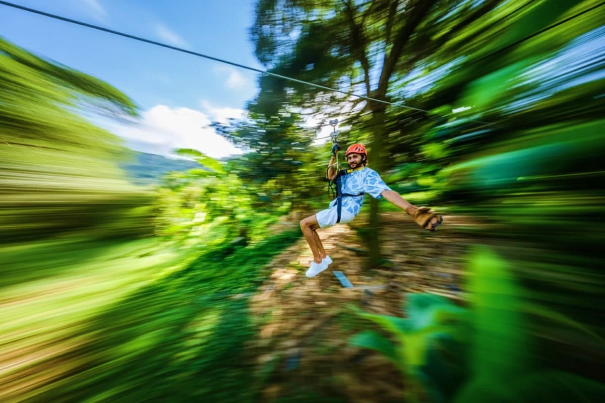 Tree Bridge Zipline Man ziplining through lush green forest canopy on Tree Bridge Zipline adventure tour