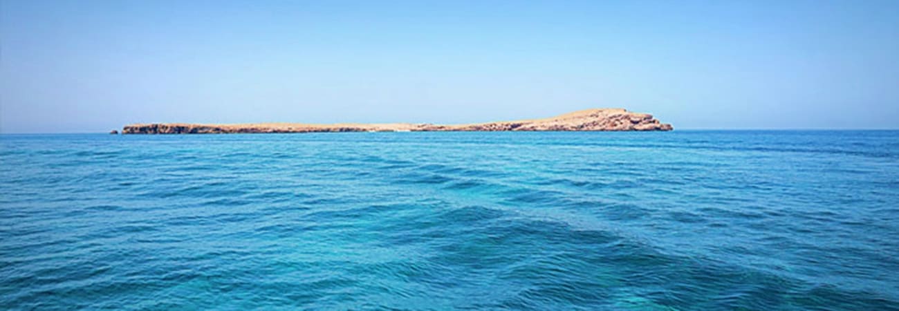 Damaniyat Island Trip Damaniyat Island viewed from the sea with turquoise water and clear blue sky