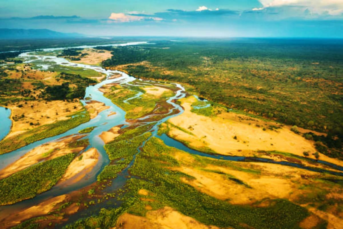 zambia